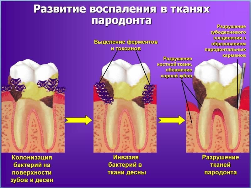 томск стоматология окб